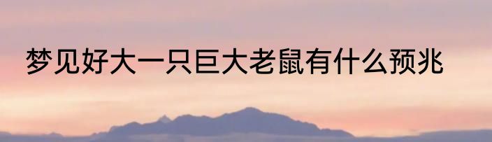 梦见好大一只巨大老鼠有什么预兆