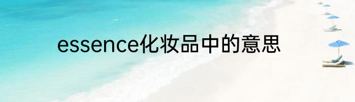essence化妆品中的意思