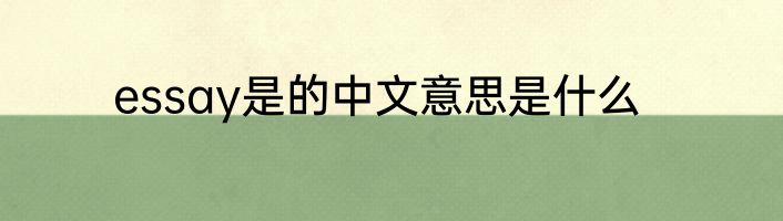 essay是的中文意思是什么