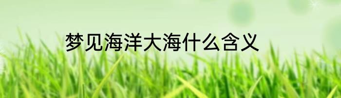 梦见海洋大海什么含义