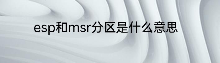 esp和msr分区是什么意思