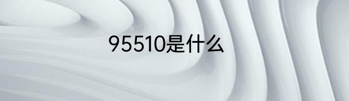 95510是什么