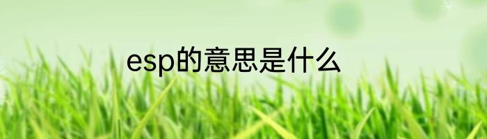 esp的意思是什么