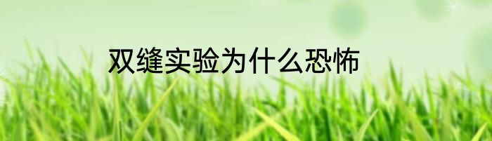 双缝实验为什么恐怖