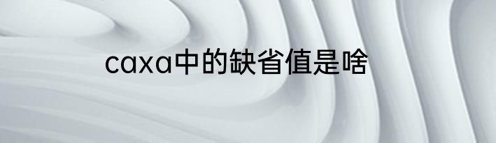 caxa中的缺省值是啥