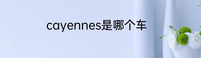 cayennes是哪个车