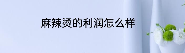 麻辣烫的利润怎么样
