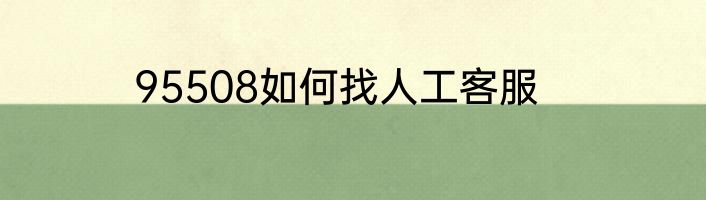 95508如何找人工客服