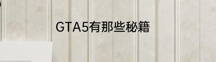 GTA5有那些秘籍