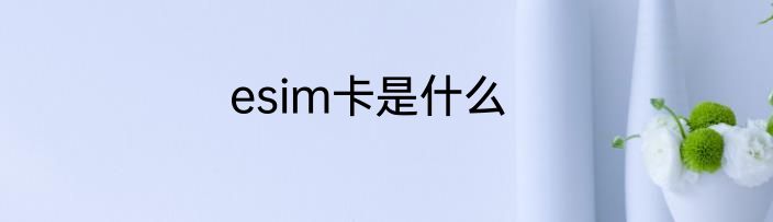 esim卡是什么