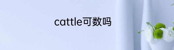 cattle可数吗