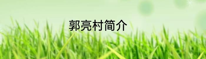 郭亮村简介