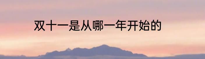 双十一是从哪一年开始的