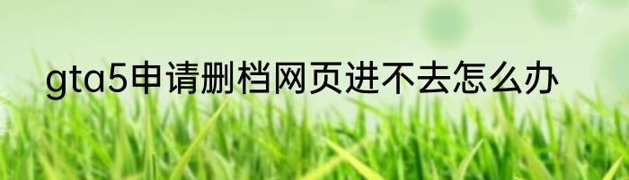 gta5申请删档网页进不去怎么办