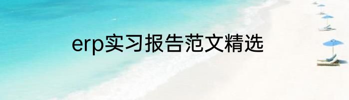 erp实习报告范文精选