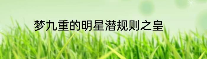 梦九重的明星潜规则之皇