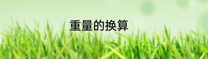 重量的换算