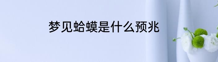 梦见蛤蟆是什么预兆