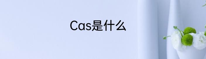 Cas是什么