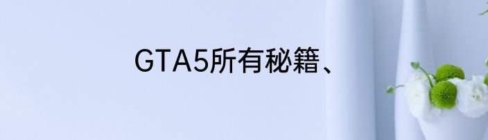 GTA5所有秘籍、