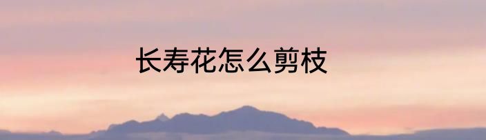 长寿花怎么剪枝