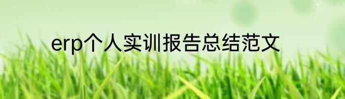 erp个人实训报告总结范文