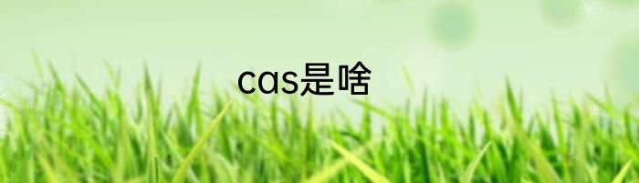 cas是啥