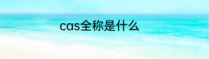 cas全称是什么