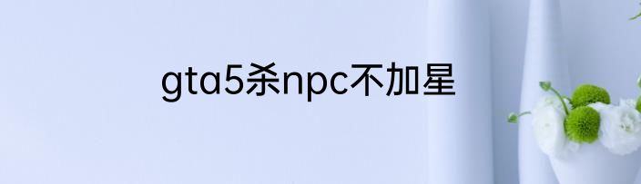 gta5杀npc不加星