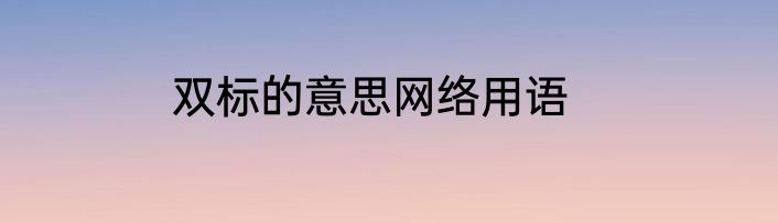 双标的意思网络用语