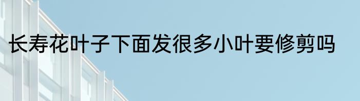 长寿花叶子下面发很多小叶要修剪吗