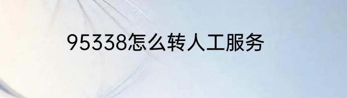 95338怎么转人工服务