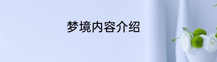 梦境内容介绍