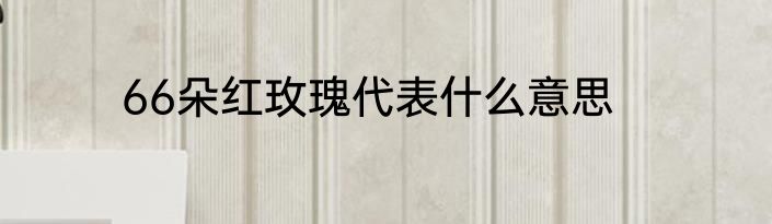 66朵红玫瑰代表什么意思