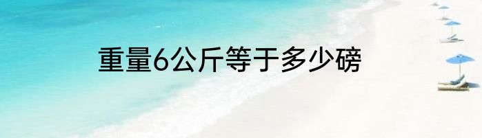 重量6公斤等于多少磅