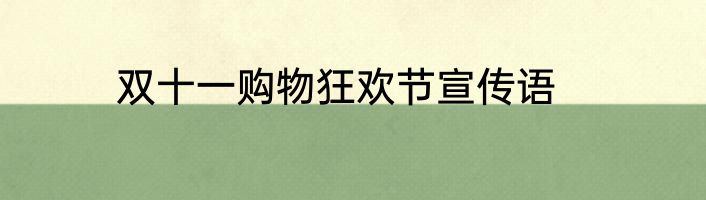 双十一购物狂欢节宣传语