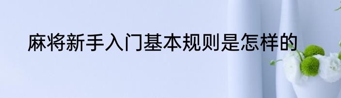 麻将新手入门基本规则是怎样的