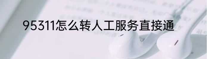 95311怎么转人工服务直接通