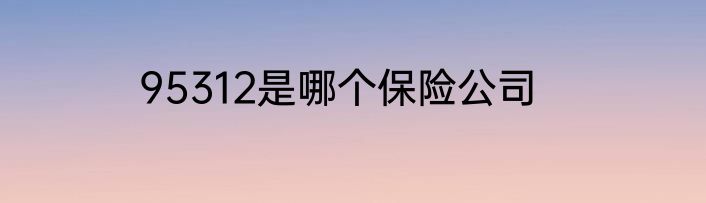 95312是哪个保险公司