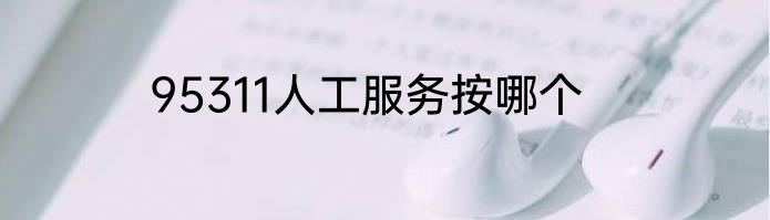 95311人工服务按哪个