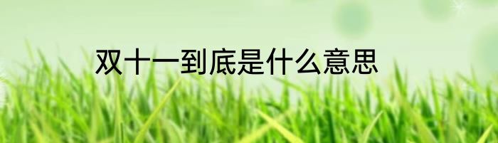 双十一到底是什么意思