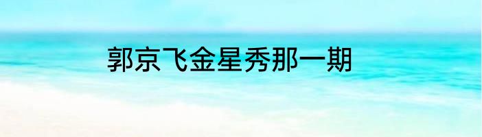 郭京飞金星秀那一期