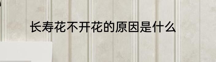 长寿花不开花的原因是什么