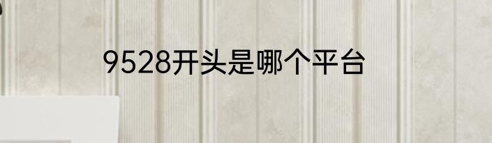 9528开头是哪个平台