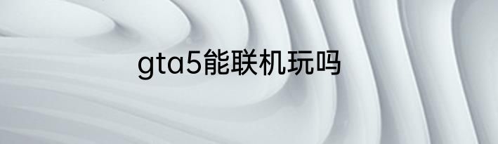 gta5能联机玩吗