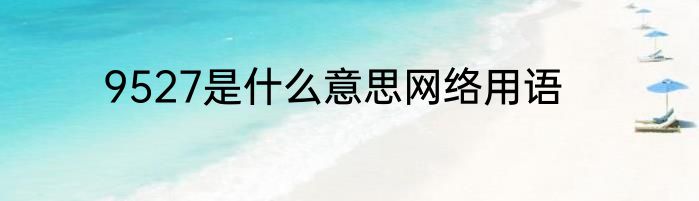 9527是什么意思网络用语