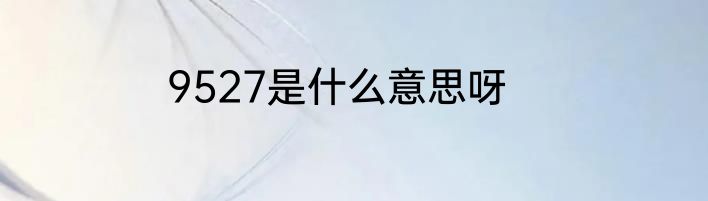 9527是什么意思呀