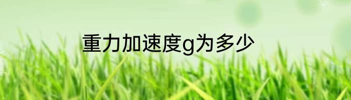 重力加速度g为多少