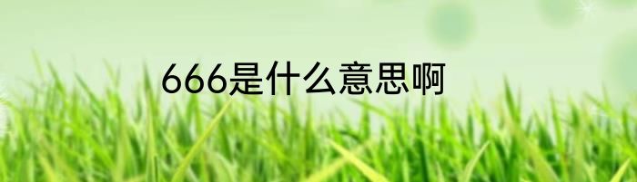 666是什么意思啊