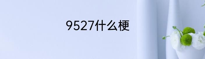 9527什么梗